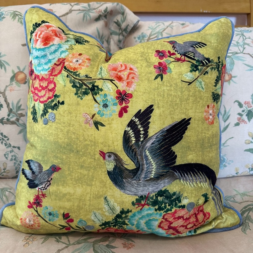 Anthropology pillow